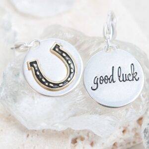 Silver 2 Tone Medallion Good Luck Horse Shoe