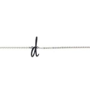Stainless Steel Initial Necklace "d"
